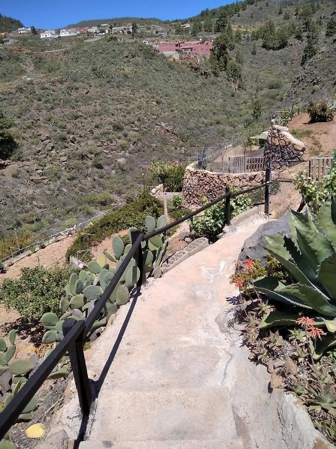 Finca El Arroyo Villa Granadilla De Abona Farm stay