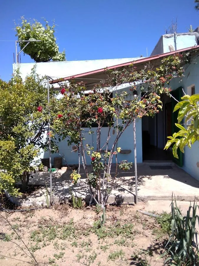 Farm stay Finca El Arroyo Villa Granadilla De Abona