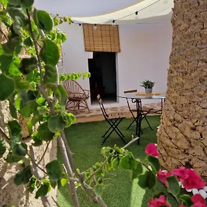 Little Paradise In El Medano Apartment